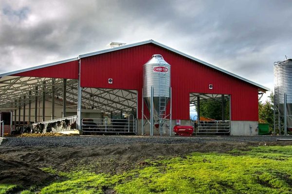 Steel farm building with dual silos and open livestock area on a concrete foundation